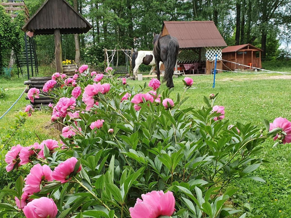 Kurnik Polski Agroturystyka Tykocin Luaran gambar