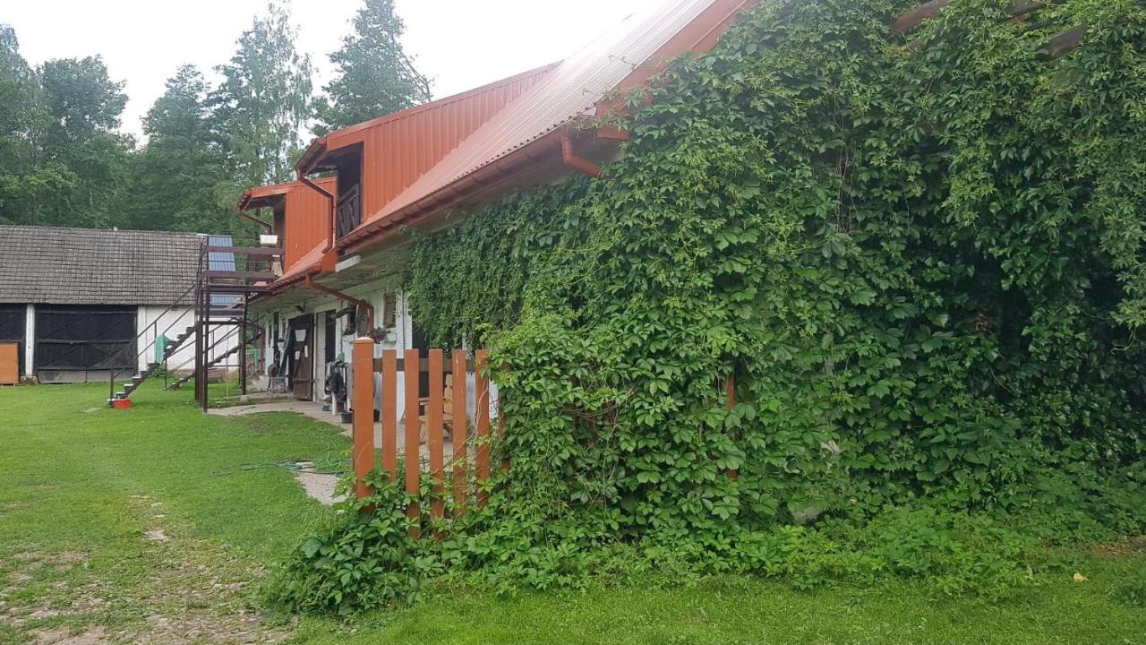 Kurnik Polski Agroturystyka Tykocin Luaran gambar