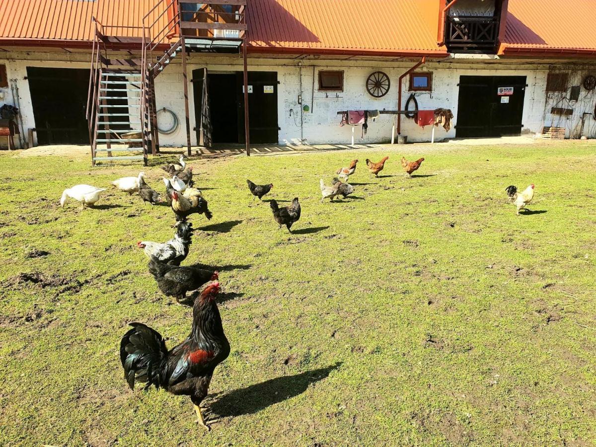 Kurnik Polski Agroturystyka Tykocin Luaran gambar
