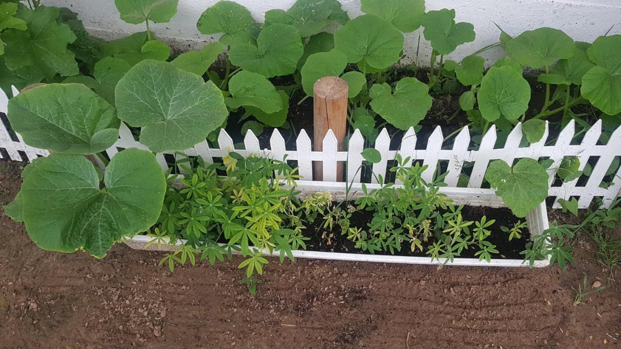 Kurnik Polski Agroturystyka Tykocin Luaran gambar