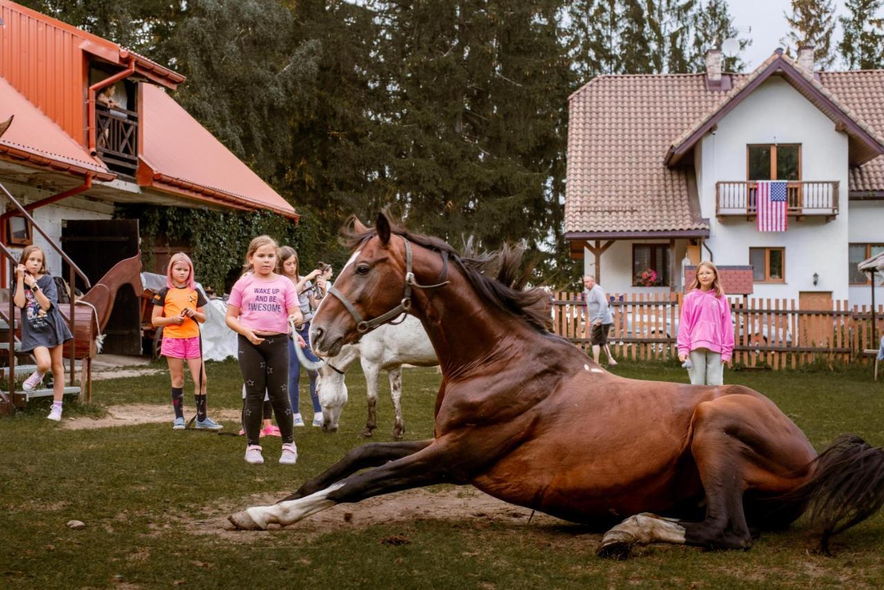 Kurnik Polski Agroturystyka Tykocin Luaran gambar