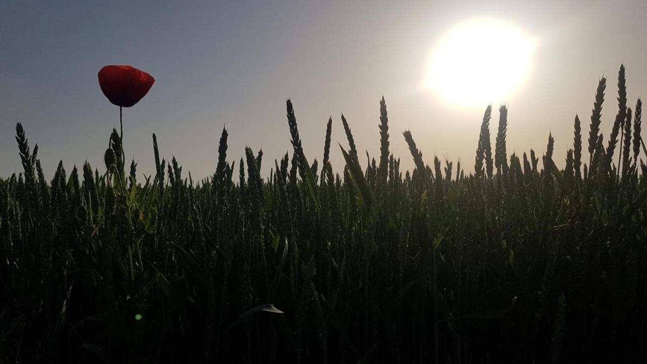 Kurnik Polski Agroturystyka Tykocin Luaran gambar