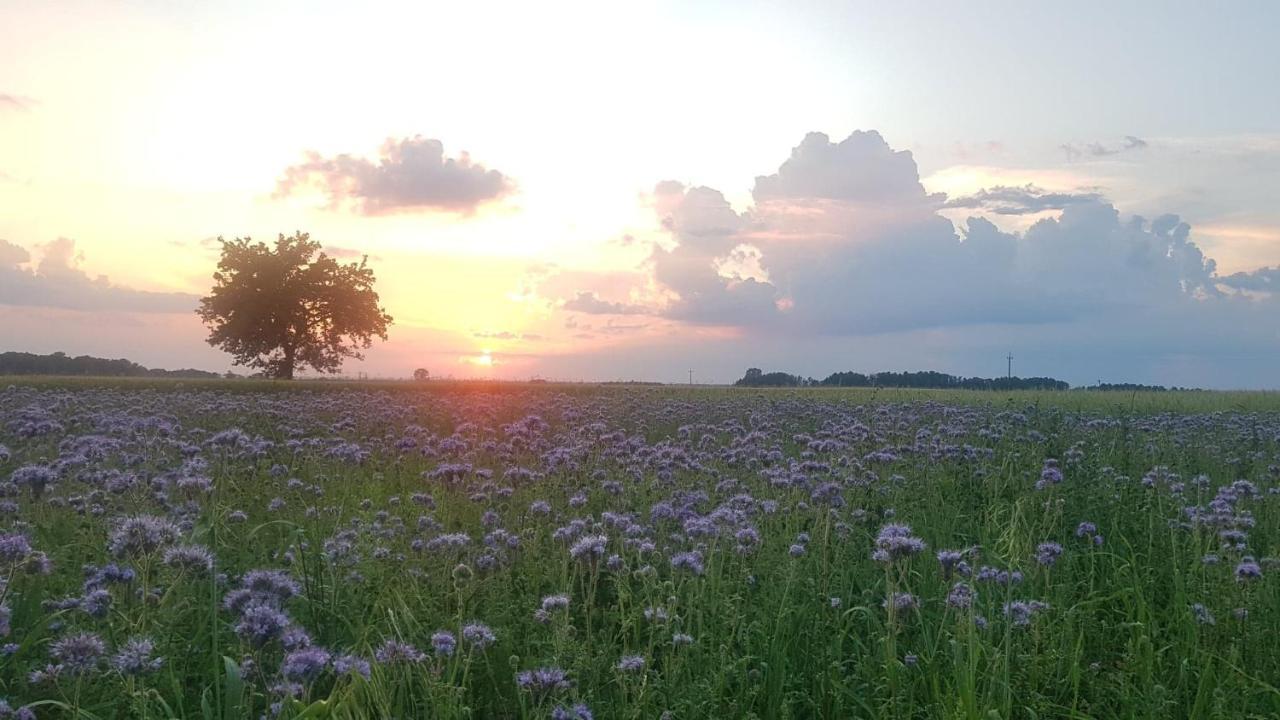 Kurnik Polski Agroturystyka Tykocin Luaran gambar