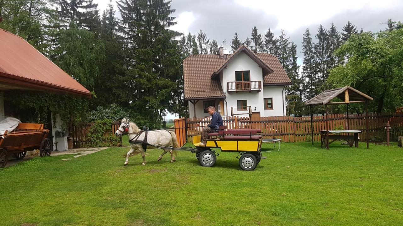 Kurnik Polski Agroturystyka Tykocin Luaran gambar