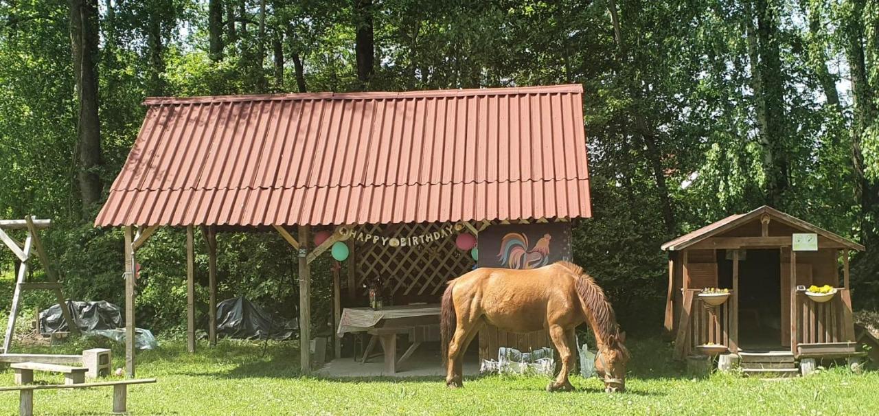 Kurnik Polski Agroturystyka Tykocin Luaran gambar